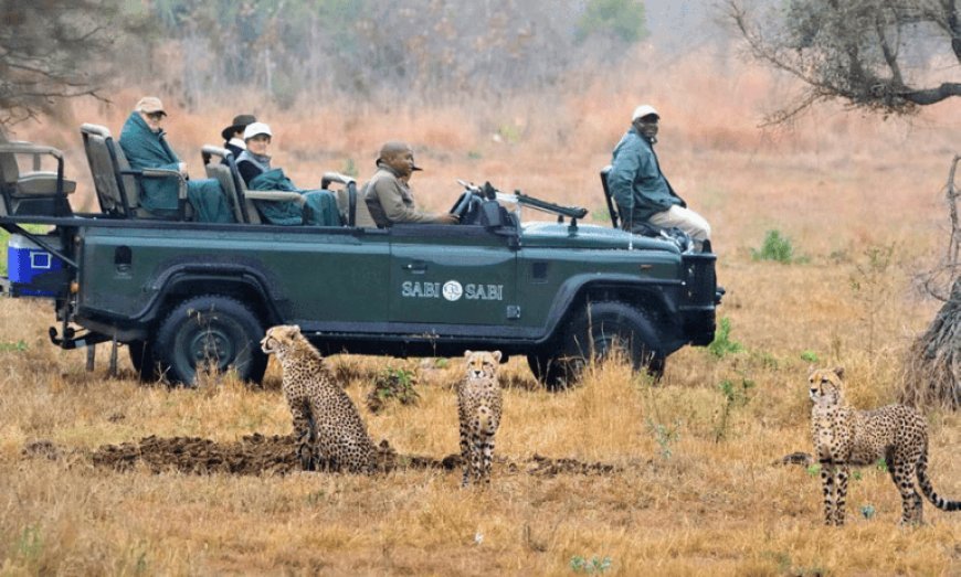 South Africa Rolls Out Phase 2 of Trusted Tour Operator Scheme (TTOS)
