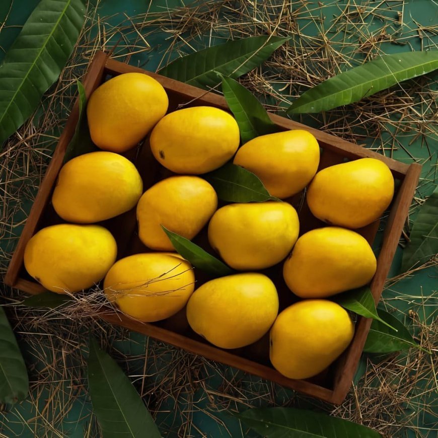 Discover the Joy of Mango Season Across India in 2025