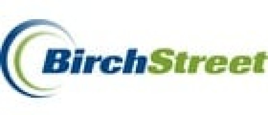 BirchStreet Systems Named a Leader in the IDC MarketScape: Worldwide AI-Enabled Procure-to-Pay Application 2025 Vendor Assessment