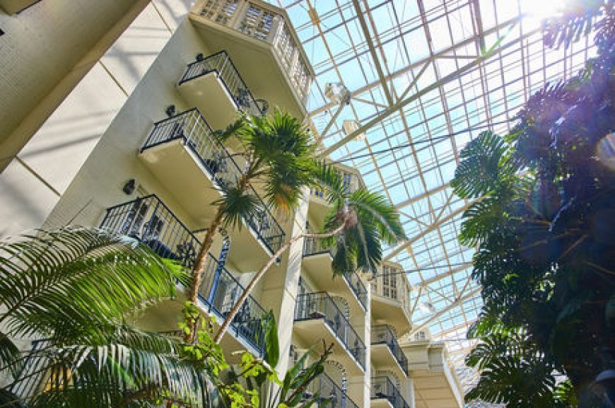 Reimagining the Guest Experience Through Sustainability in the UAE