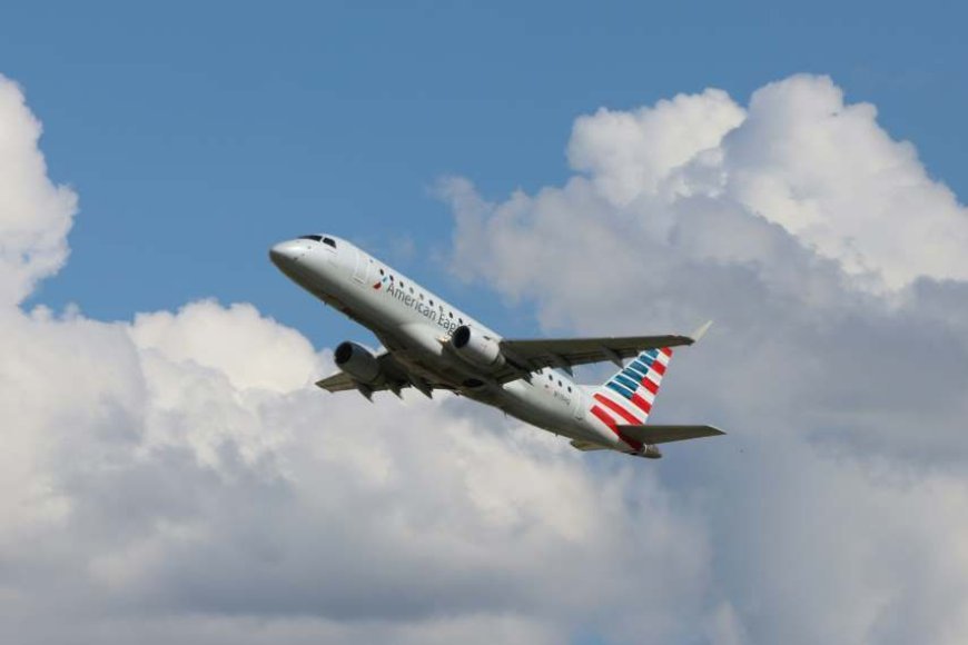 American Airlines Faces Major Disability Lawsuit Over Online Check In Failure